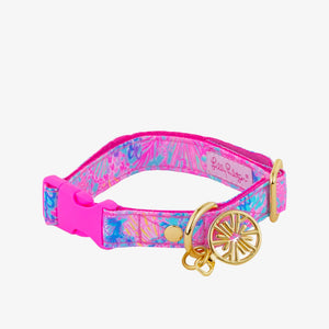 Lilly Pulitzer Dog Collar, Splendor in the Sand