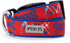 The Worthy Dog Preppy Bones Collar