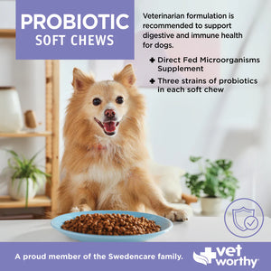 Vet Worthy Probiotic Chews