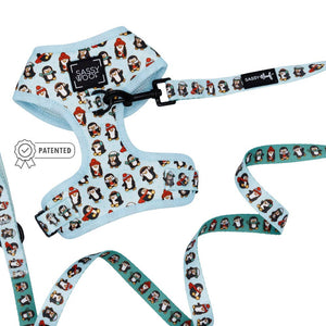 Dog Two Piece Bundle - Winter Waddleland