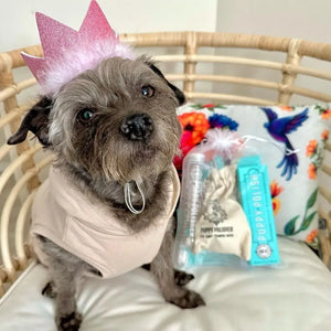 Puppy Polisher Shampoo Brush