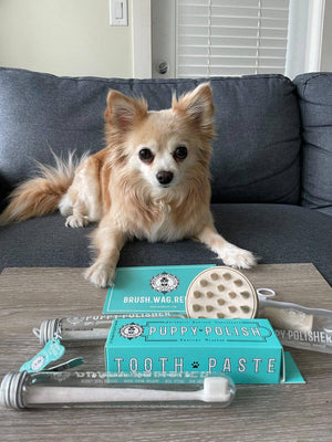 Puppy Polisher Shampoo Brush