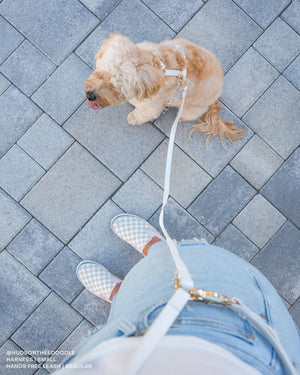 Cloud White 4-in-1 Convertible Hands Free Cloud Dog Leash
