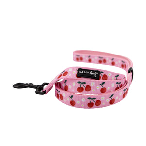 Dog Leash - Mon Cherry (Fruits)