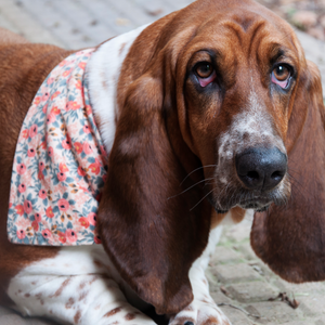 Pink Sprinkle Donuts Dog Bandana
