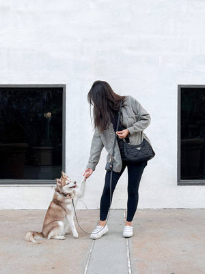 Ember Black 4-in-1 Convertible Hands Free Cloud Dog Leash