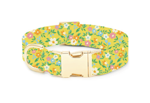 Sunny Meadow Spring Dog Collar