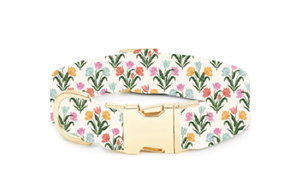 Rifle Paper Co. x TFD Tulips Spring Dog Collar