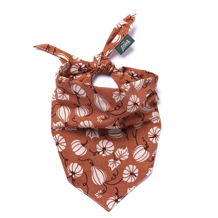Harvest Fall Dog Bandana