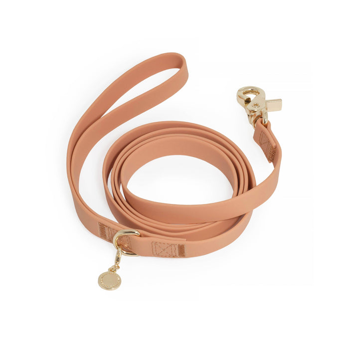 Dog Leash Waterproof - Brown, Lightweight, 4 ft, 5 ft, 6 ft