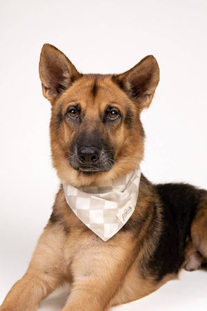 Checkers Dog Bandana