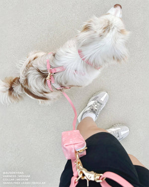 Perfect Pink 4-in-1 Convertible Hands Free Cloud Dog Leash
