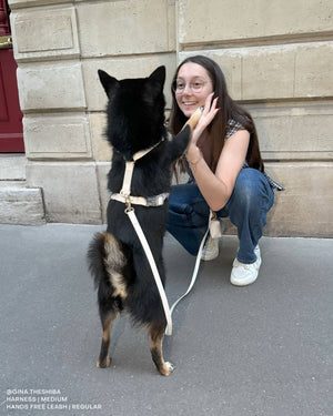 Cloud White 4-in-1 Convertible Hands Free Cloud Dog Leash