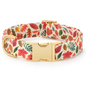 Falling Leaves Dog Collar