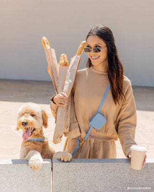 Malibu Blue 4-in-1 Convertible Hands Free Cloud Dog Leash