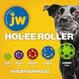 Hol-Ee Roller Toy