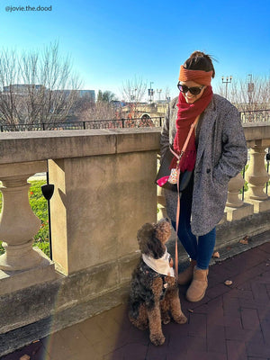 Lavender Haze 4-in-1 Convertible Hands Free Cloud Dog Leash