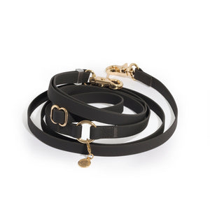 Ember Black 4-in-1 Convertible Hands Free Cloud Dog Leash