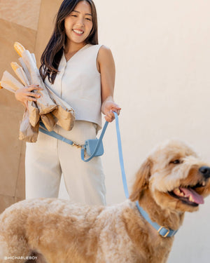 Malibu Blue 4-in-1 Convertible Hands Free Cloud Dog Leash