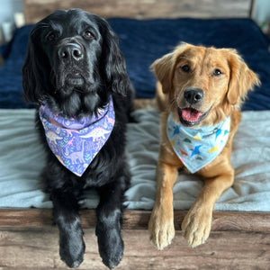 Pink Sprinkle Donuts Dog Bandana