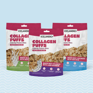 Icelandic + Collagen Chews