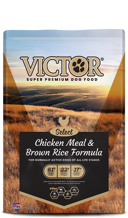 Victor Chicken Meal & Brown Rice Formula