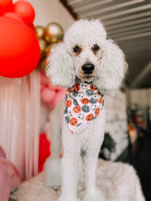 Dapple Dog Designs Red, White, Blue & Smiles Bandana