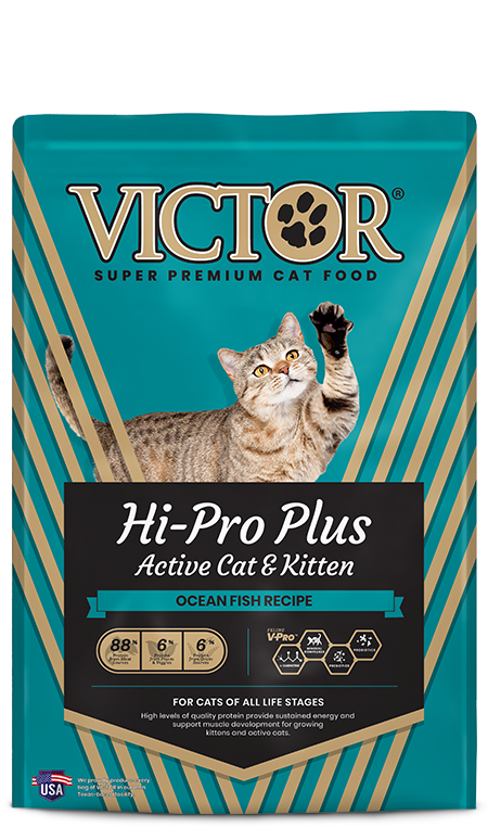 Victor Hi-Pro Plus Active Cat & Kitten