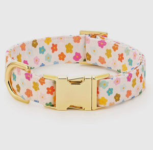 Foggy Dog | Rainbow Flower Dog Collar