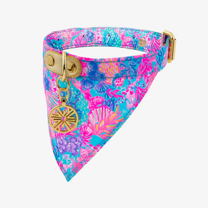 Lilly Pulitzer Dog Collar with Bandana, Splendor in the Sand