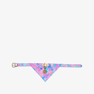 Lilly Pulitzer Dog Collar with Bandana, Splendor in the Sand