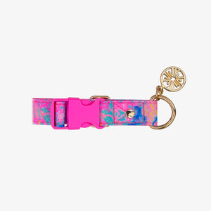 Lilly Pulitzer Dog Collar, Splendor in the Sand