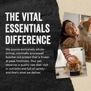 Vital Essentials Freeze Dried Raw Minnows for Cats