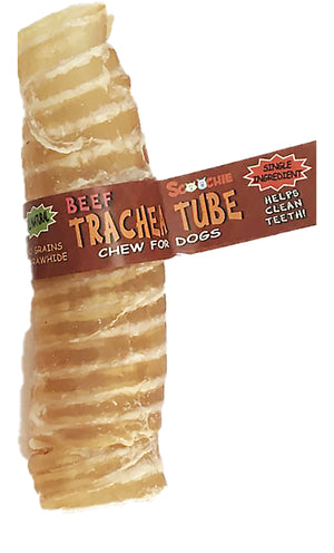 Beef Trachea Tube 12in