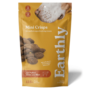 Earthly Mini Crisps