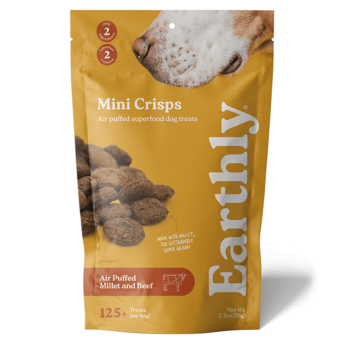 Earthly Mini Crisps