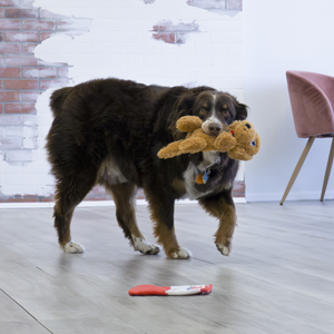 Kong Dog Comfort Pups Goldie