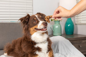 Natural Cravings USA Beef Lung Bites