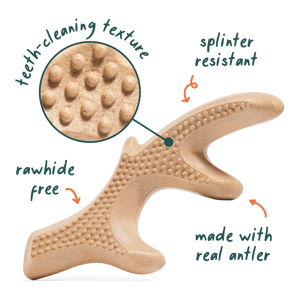 Woof Dog Antler Chew