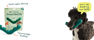 Woof Dog Bite n' Brush