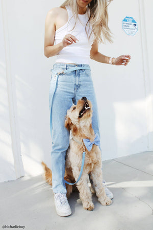 Malibu Blue 4-in-1 Convertible Hands Free Cloud Dog Leash