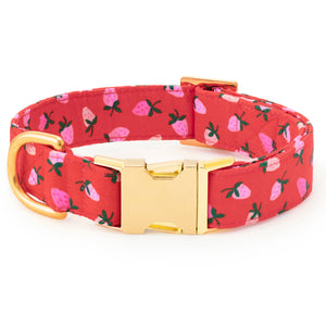 Foggy Dog Berry Sweet Dog Collar