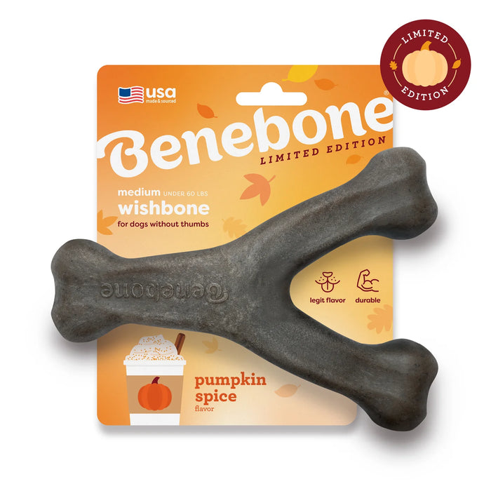Benebone Pumpkin Spice