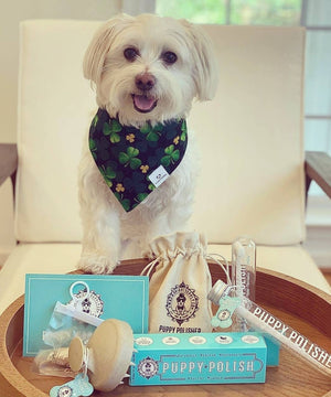 Puppy Polisher Shampoo Brush