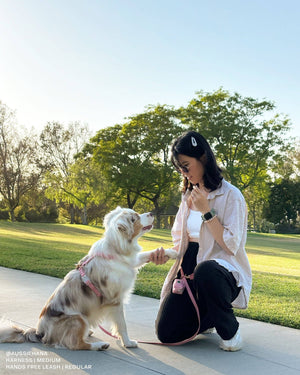 Perfect Pink 4-in-1 Convertible Hands Free Cloud Dog Leash