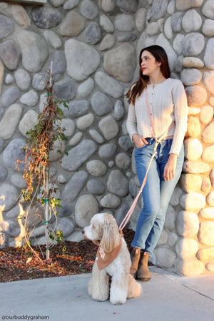 Pistachio Green 4-in-1 Convertible Hands Free Dog Leash