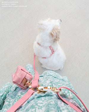 Perfect Pink 4-in-1 Convertible Hands Free Cloud Dog Leash