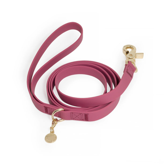 Dog Leash Waterproof - Mulberry Burgundy 5 FT
