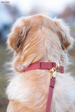 Dog Leash Waterproof - Mulberry Burgundy 5 FT