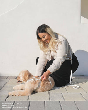 Cloud White 4-in-1 Convertible Hands Free Cloud Dog Leash